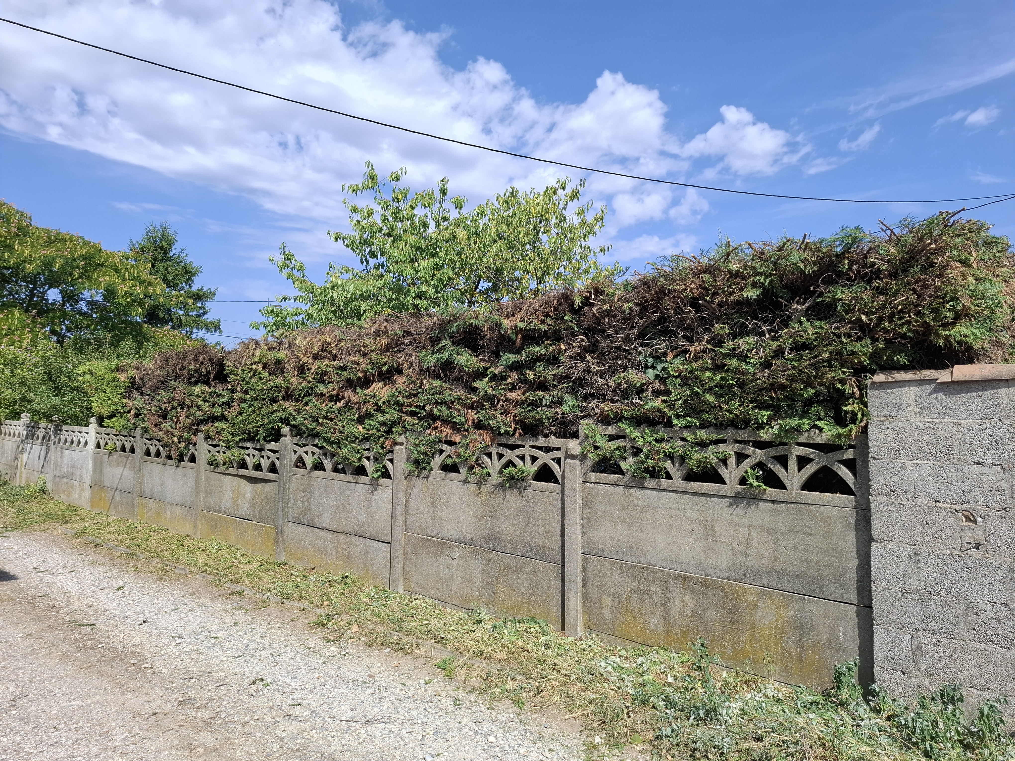 Détail de la prestation Entretiens