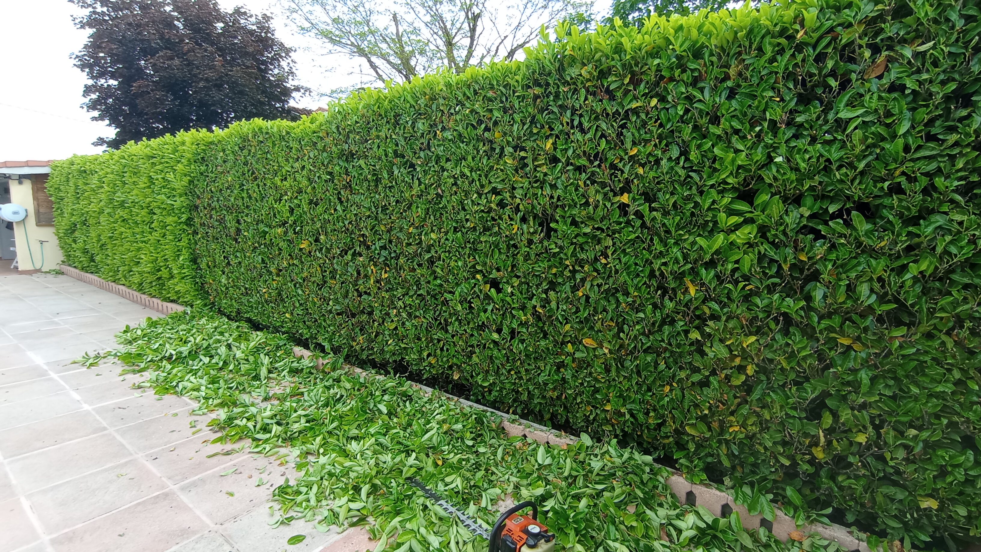 Détail de la prestation Entretiens